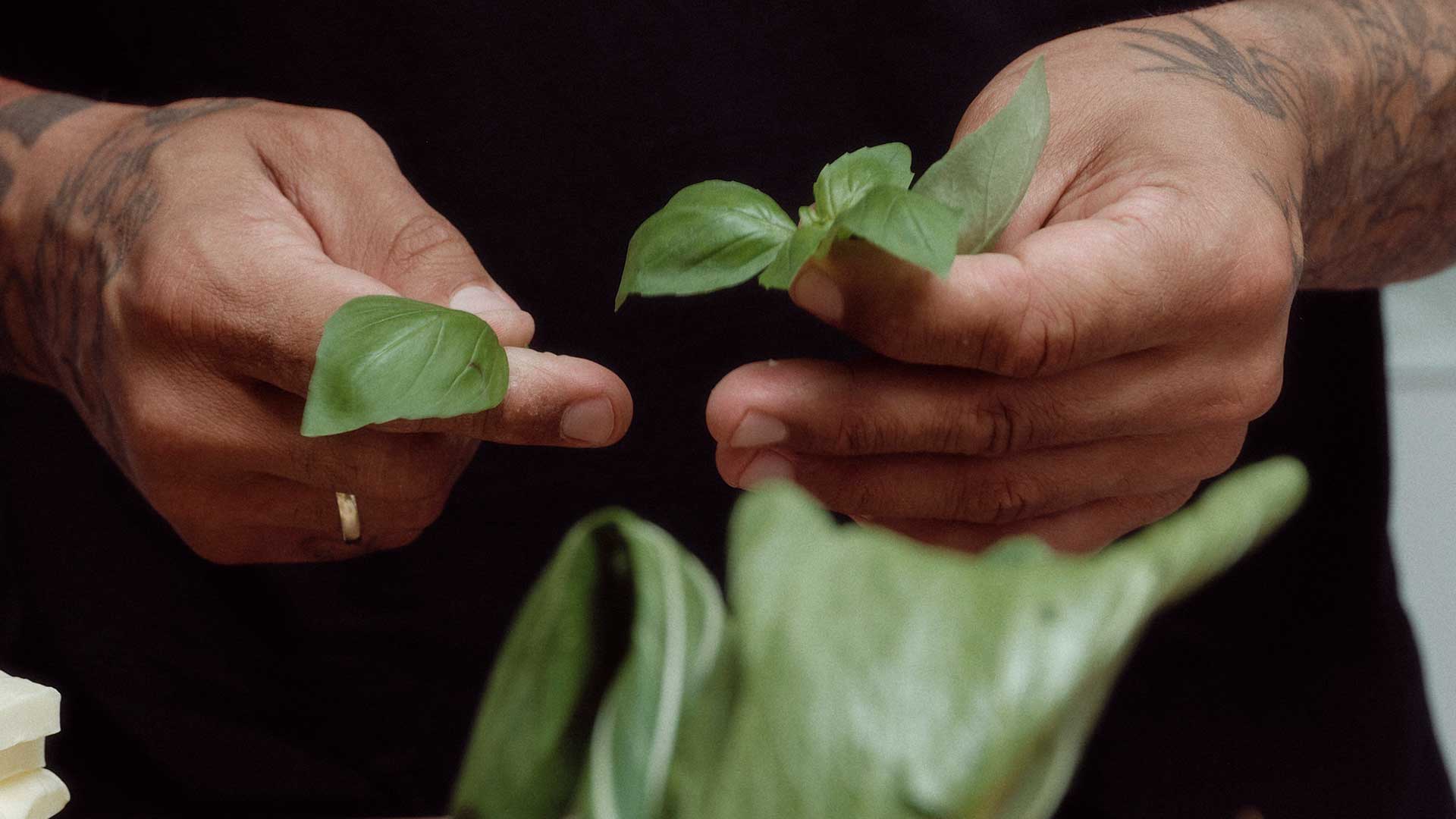 LOOK PRO, GO SLOW - ITALY CLUB / 24.02.26 / 18 Uhr